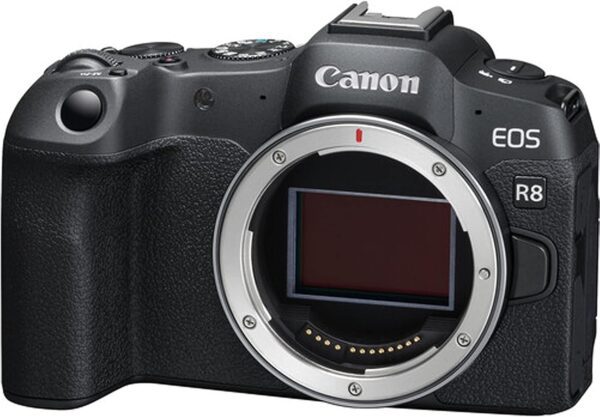 Canon EOS R8 Mirrorless Camera with RF 24-104mm