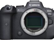 Canon EOS R6 Mirrorless Digital Camera with 24-105mm